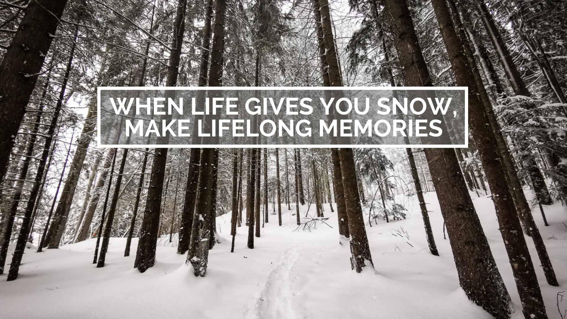 When life gives you snow, make lifelong memories A Swiss With A Pulse